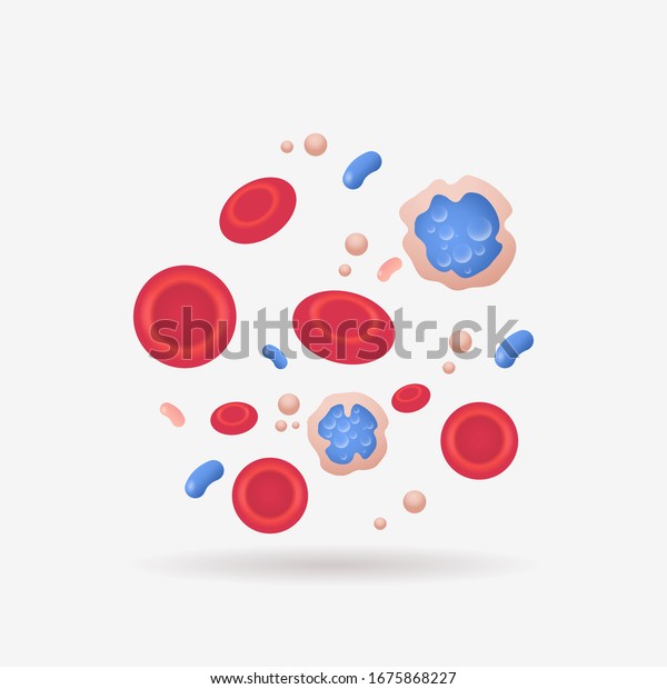 赤血管血球解剖 ヒト血管系白血球 血小板アイコン生物学的医学コンセプト平坦なベクターイラスト のベクター画像素材 ロイヤリティフリー