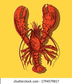 Red boiled lobster. Vector illustration on color background. Seafood icon