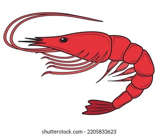 Red boiled prawns or tiger prawns isolated on white background. Fresh Seafood.Vector illustration.