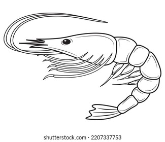 Red boiled prawns or tiger prawns isolated on white background. Fresh Seafood.Vector illustration.