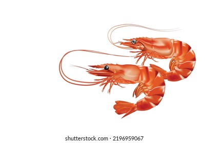 Red boiled shrimp or tiger prawns isolated on white background as a package design element. vector