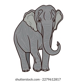 Red book Asian elephant. Thick-skinned herbivore with fan-shaped ears inhabit dry to wet forest and grassland. Cartoon style illustration