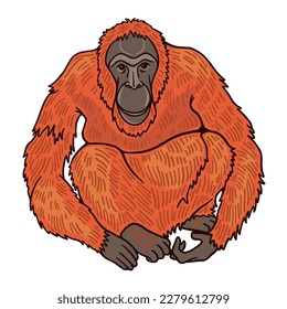 Rotes Buch Orang-Utan mit ape-ähnlichen Formen scheußlichen rötlichen Fell und schnappenden Händen und Füßen. Baumbewohnender Primat. Intelligente Säugetiere. Cartoon-Style-Illustration