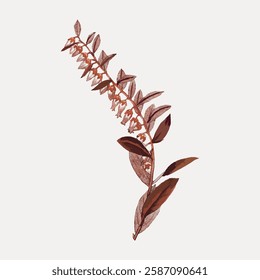 Red branch Autumn plant illustration isolated on white, vector.