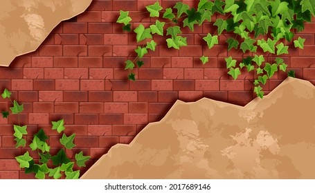 Red brick wall background, old stone texture, green ivy leaf, dirty plaster, creeper plant branch. Architecture material illustration, climber twig, exterior facade surface. Brick wall vector backdrop