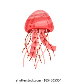 Red bright medusa isolated on white background. Marine jellyfish with tentacles. Beautiful aquatic animal or ocean creature. Flat vector cartoon textured illustration of swimming red jelly fish