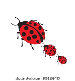 Red bug, isolated on white background. Red lady bug, Insect beetle, Symbol of nature.