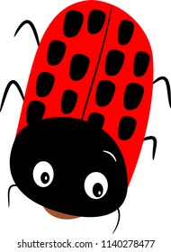 red bug vector isolated