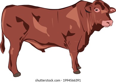 red bull male vector art for design