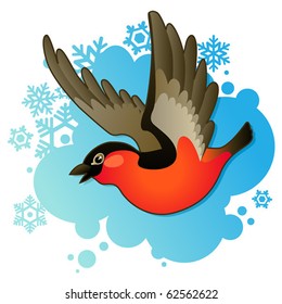 red bullfinch on winter background