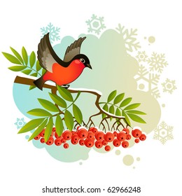 red bullfinch on winter background