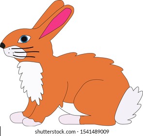 
red bunny cartoon animal hare