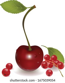 red, burgundy juicy cherries with a twig and a leaf and a bunch of red currants on a white background. 3d illustration