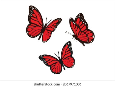 dibujo manual de diseño de vectores de mariposa roja