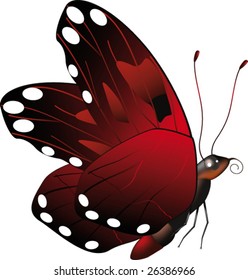 red butterfly