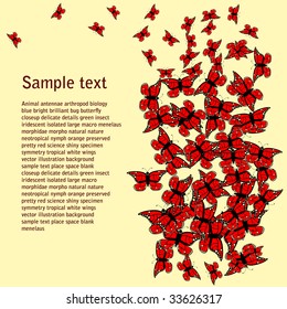 red butterfly background with place for text