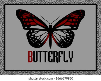 red butterfly in elegant frame on grey background