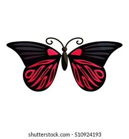 Red butterfly icon. Cartoon illustration of red butterfly vector icon for web