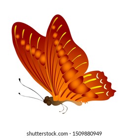 red butterfly vector design, animals vector design, single butterfly vector.