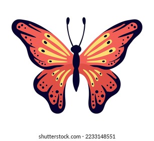 red butterfly with wings insect