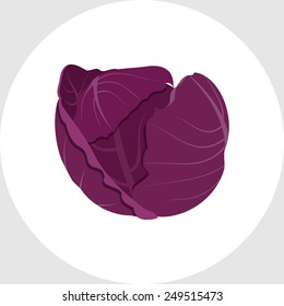 Red Cabbage 