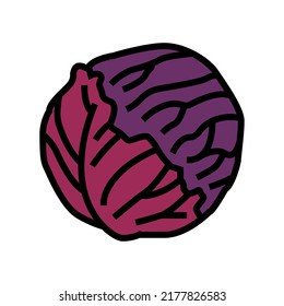 red cabbage color icon vector. red cabbage sign. isolated symbol illustration