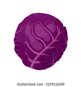 Red cabbage, flat style vector illustration isolated on white background