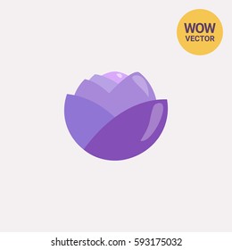 Red cabbage head icon