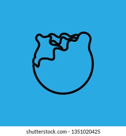 red cabbage icon vector