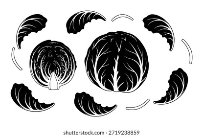 Hoja de repollo rojo y juego de cabezas. Concepto de alimentación saludable, ingrediente de ensalada. Ilustración vectorial en línea de arte en blanco y negro.