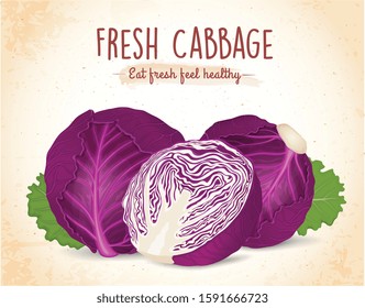 red cabbage vector illustration with half piece of cabbage on brown background