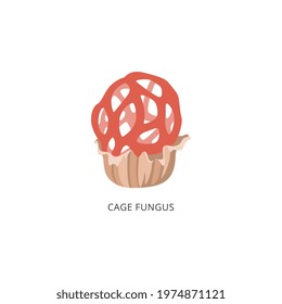 Red cage fungus - rare cartoon mushroom isolated on white background. Clathrus ruber or latticed basket stinkhorn, vector illustration.