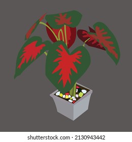 red caladium flower vector illustration for furniture design