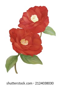 Red camellia floral botanical flowers. Wild spring leaf wildflower isolated. Watercolor illustration image.