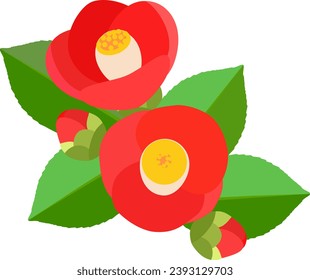 Red camellia flowers, buds, and green leaves