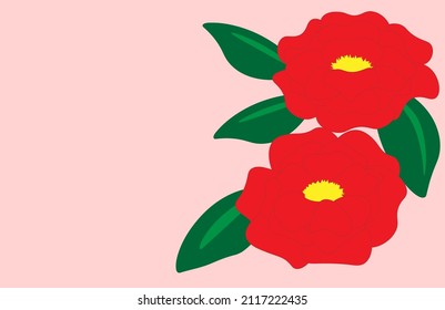Red camellia flowers on pink background.