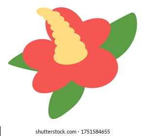 Red camellia isolated at white background. Summer nature. Flower with green leaves. Icon of red flower. Natural concept. Traditional flower of Jeju island in South Korea. Korean tropical flower