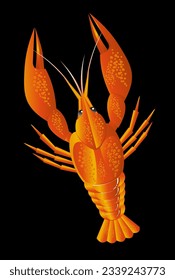 red cancer lobster vector illustration