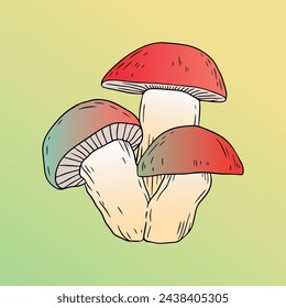 Red caped hand drawn mushroom vector illustration