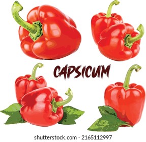 Rote Capsicum-Kollektion mit Blatt