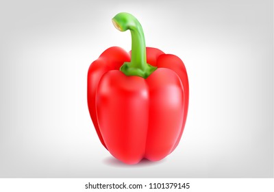 RED CAPSICUM IN ISOLATED BACKGROUND. VECTOR EPS