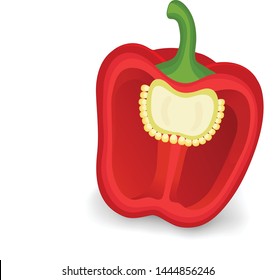 Red capsicum pepper (bell pepper) Vector illustration