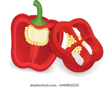Red capsicum with piece of capsicum vector illustration