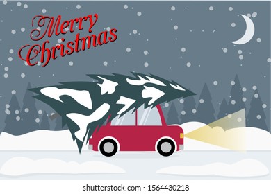  a red car carries a Christmas tree out of the forest home