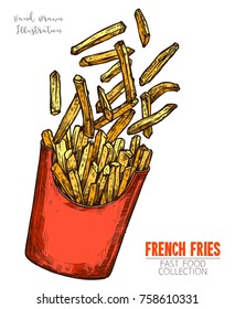 Red cardboard box with French fries, handdrawn sketch isolated on white background. Popular fast food dish. Color image in engraving style. Vector illustration