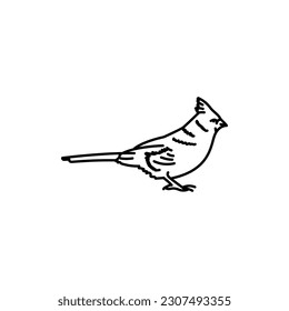 Red cardinal bird black line icon. Pictogram for web page, mobile app, promo.
