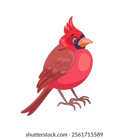 Red Cardinal Bird. In cartoon style. Isolated on white background. Vector flat illustration.