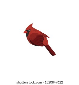 red cardinal bird cartoon vector on a white background