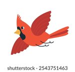 Red cardinal bird flat vector illustration isolated on white background. Cartoon comic northern cardinal bird flying, flaps its wings. Bird Watching and bird feeding minimal design, winter birds.