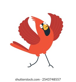 Red cardinal bird flat vector illustration isolated on white background. Cartoon comic northern cardinal bird flying, flaps its wings and sings. Bird Watching and feeding minimal design, winter birds.